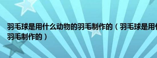 羽毛球是用什么动物的羽毛制作的（羽毛球是用什么动物的羽毛制作的）