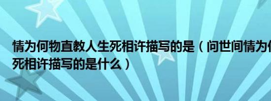 情为何物直教人生死相许描写的是（问世间情为何物直教生死相许描写的是什么）