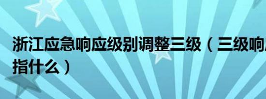 浙江应急响应级别调整三级（三级响应级别是指什么）