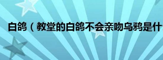 白鸽（教堂的白鸽不会亲吻乌鸦是什么歌）