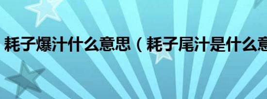 耗子爆汁什么意思（耗子尾汁是什么意思呢）