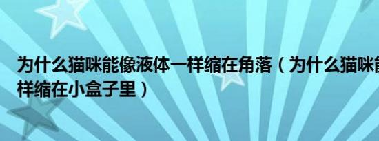 为什么猫咪能像液体一样缩在角落（为什么猫咪能像液体一样缩在小盒子里）