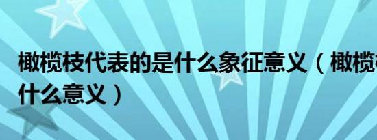 橄榄枝代表的是什么象征意义（橄榄枝象征着什么意义）