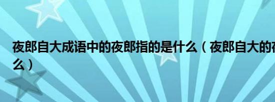 夜郎自大成语中的夜郎指的是什么（夜郎自大的夜郎是指什么）