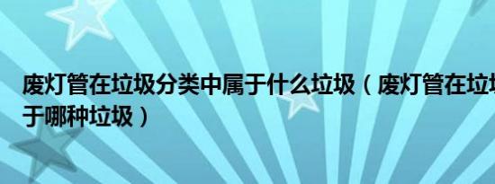 废灯管在垃圾分类中属于什么垃圾（废灯管在垃圾分类中属于哪种垃圾）