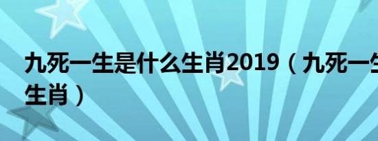 九死一生是什么生肖2019（九死一生是什么生肖）