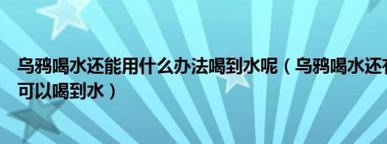 乌鸦喝水还能用什么办法喝到水呢（乌鸦喝水还有什么办法可以喝到水）