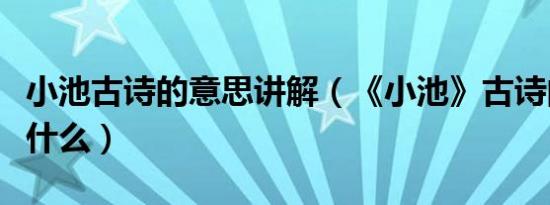 小池古诗的意思讲解（《小池》古诗的意思是什么）