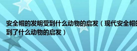 安全帽的发明受到什么动物的启发（现代安全帽的发明是受到了什么动物的启发）