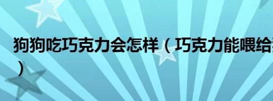 狗狗吃巧克力会怎样（巧克力能喂给狗狗吃吗）