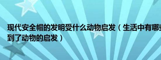 现代安全帽的发明受什么动物启发（生活中有哪些发明是受到了动物的启发）