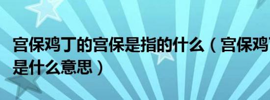 宫保鸡丁的宫保是指的什么（宫保鸡丁的宫保是什么意思）