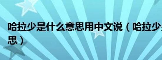 哈拉少是什么意思用中文说（哈拉少是什么意思）