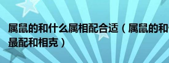 属鼠的和什么属相配合适（属鼠的和什么属相最配和相克）