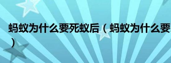 蚂蚁为什么要死蚁后（蚂蚁为什么要杀死蚁后）