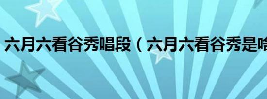 六月六看谷秀唱段（六月六看谷秀是啥意思）