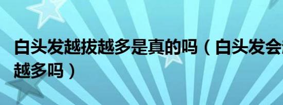 白头发越拔越多是真的吗（白头发会越拔长的越多吗）