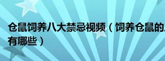 仓鼠饲养八大禁忌视频（饲养仓鼠的八大禁忌有哪些）