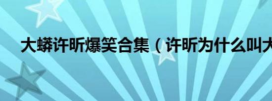 大蟒许昕爆笑合集（许昕为什么叫大蟒）