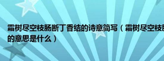 霜树尽空枝肠断丁香结的诗意简写（霜树尽空枝肠断丁香结的意思是什么）