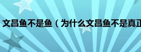 文昌鱼不是鱼（为什么文昌鱼不是真正的鱼）