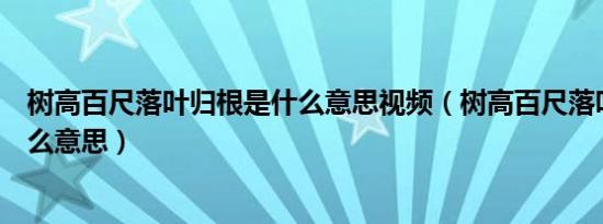 树高百尺落叶归根是什么意思视频（树高百尺落叶归根是什么意思）