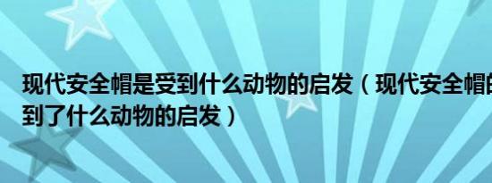 现代安全帽是受到什么动物的启发（现代安全帽的发明是受到了什么动物的启发）