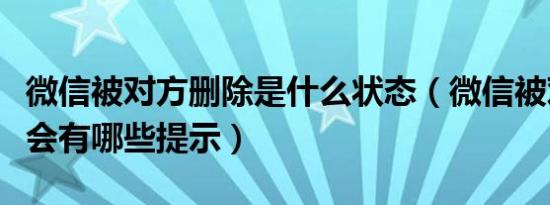 微信被对方删除是什么状态（微信被对方删除会有哪些提示）