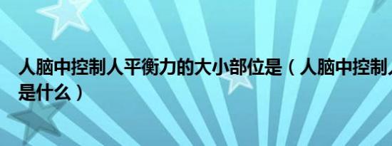 人脑中控制人平衡力的大小部位是（人脑中控制人平衡力的是什么）