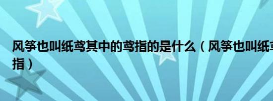 风筝也叫纸鸢其中的鸢指的是什么（风筝也叫纸鸢其中鸢是指）