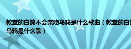 教堂的白鸽不会亲吻乌鸦是什么歌曲（教堂的白鸽不会亲吻乌鸦是什么歌）