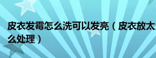 皮衣发霉怎么洗可以发亮（皮衣放太久发霉怎么处理）