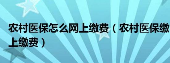 农村医保怎么网上缴费（农村医保缴费怎么网上缴费）