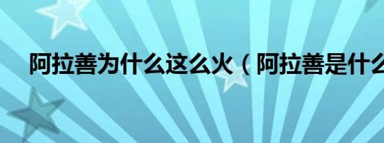 阿拉善为什么这么火（阿拉善是什么梗）