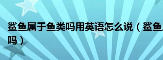 鲨鱼属于鱼类吗用英语怎么说（鲨鱼属于鱼类吗）