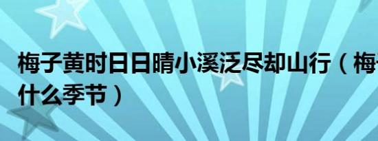 梅子黄时日日晴小溪泛尽却山行（梅子黄时是什么季节）