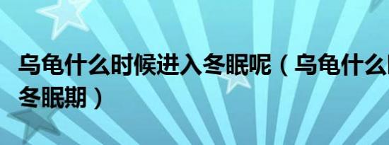 乌龟什么时候进入冬眠呢（乌龟什么时候进入冬眠期）