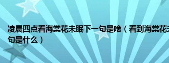 凌晨四点看海棠花未眠下一句是啥（看到海棠花未眠的下一句是什么）