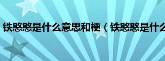 铁憨憨是什么意思和梗（铁憨憨是什么意思）