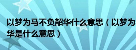 以梦为马不负韶华什么意思（以梦为马不负韶华是什么意思）