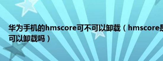 华为手机的hmscore可不可以卸载（hmscore是什么软件可以卸载吗）