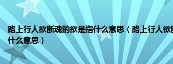 路上行人欲断魂的欲是指什么意思（路上行人欲断魂的欲是什么意思）