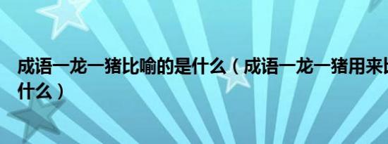 成语一龙一猪比喻的是什么（成语一龙一猪用来比喻两个人什么）