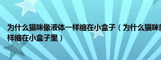 为什么猫咪像液体一样缩在小盒子（为什么猫咪能像液体一样缩在小盒子里）