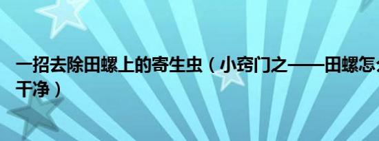 一招去除田螺上的寄生虫（小窍门之——田螺怎么洗最快最干净）