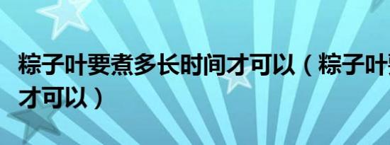 粽子叶要煮多长时间才可以（粽子叶要煮多久才可以）