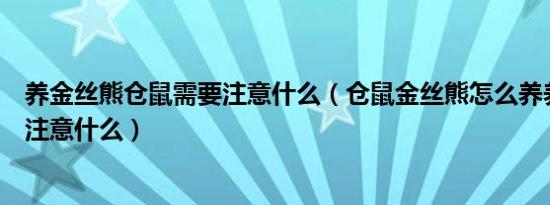 养金丝熊仓鼠需要注意什么（仓鼠金丝熊怎么养养金丝熊要注意什么）