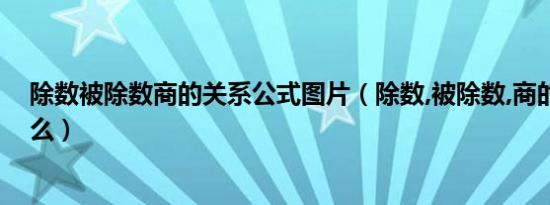 除数被除数商的关系公式图片（除数,被除数,商的关系是什么）