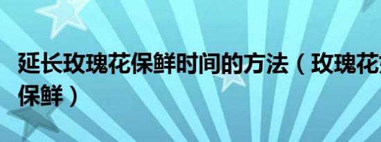 延长玫瑰花保鲜时间的方法（玫瑰花如何延长保鲜）