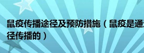 鼠疫传播途径及预防措施（鼠疫是通过什么途径传播的）